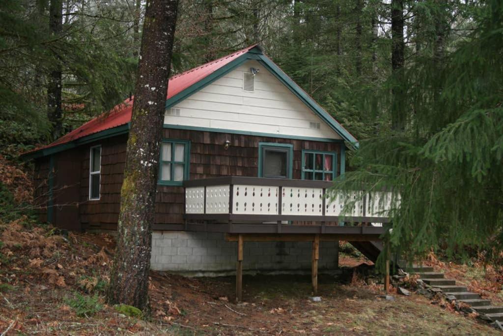 Mountainside Chalet - Tiny Home Packwood Eksteriør bilde