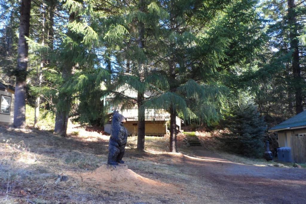 Mountainside Chalet - Tiny Home Packwood Eksteriør bilde