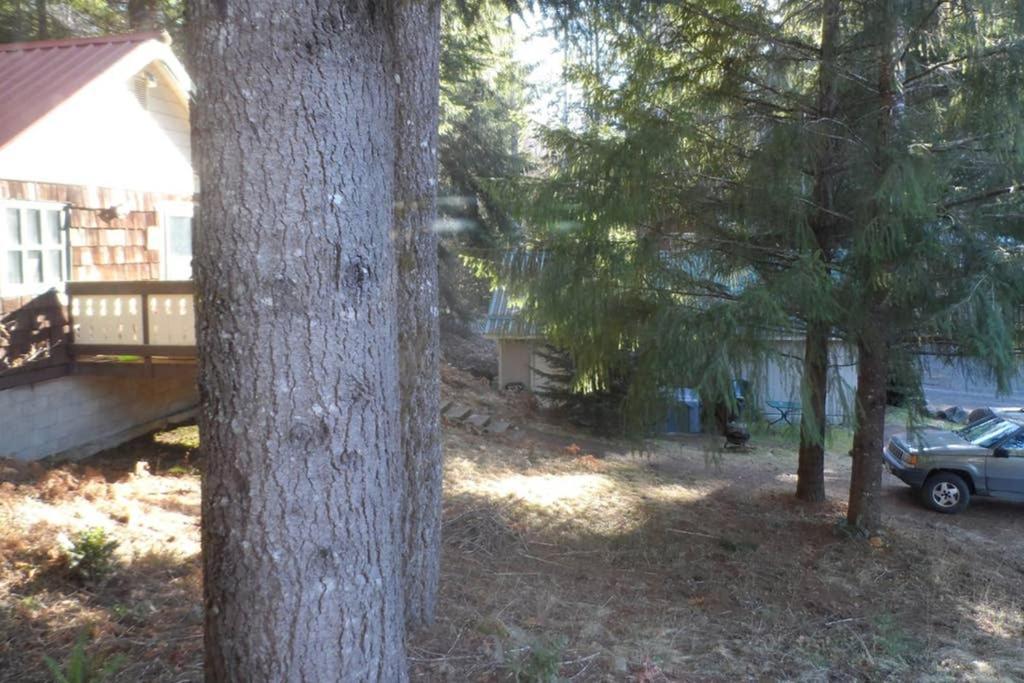 Mountainside Chalet - Tiny Home Packwood Eksteriør bilde